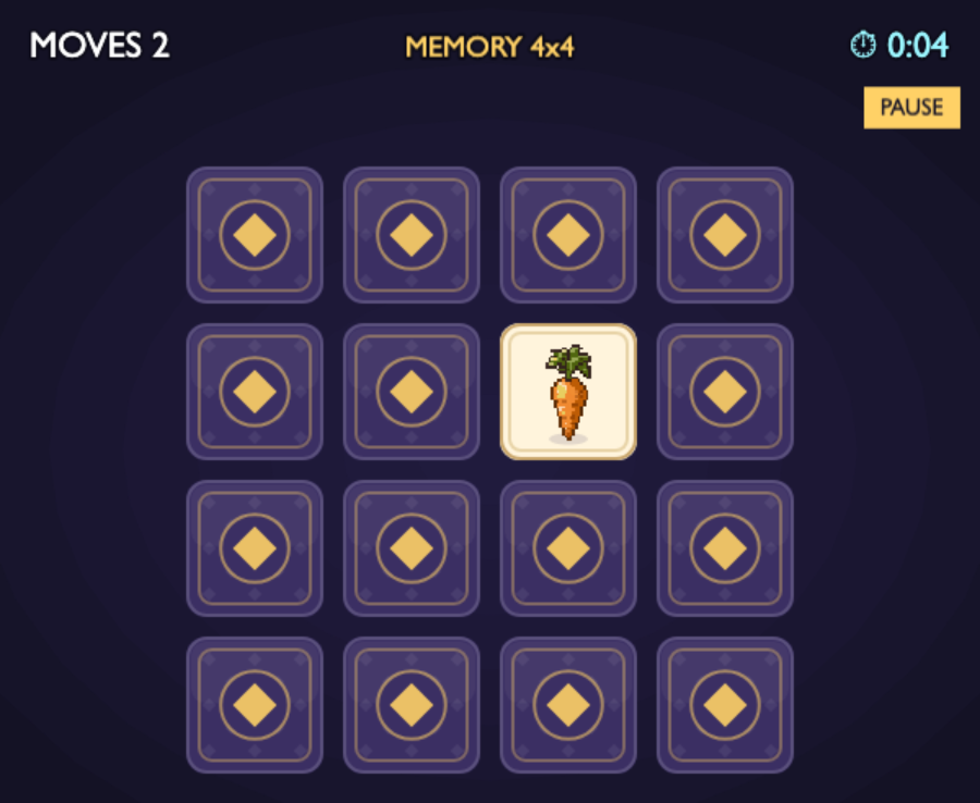 Memory Cards
